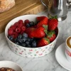 All Around Bowl Big Summer Berries