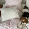 Pillow Case Summer Field